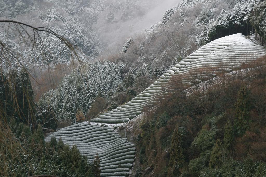 Kyoto Wazukaso Hotel Kizugawa Exterior foto