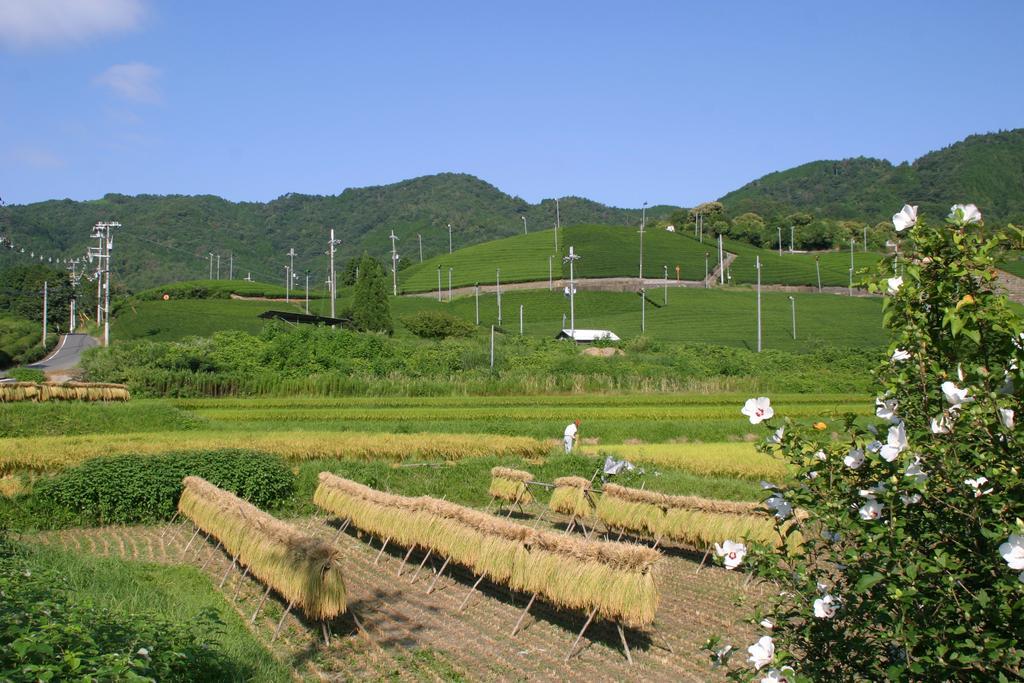Kyoto Wazukaso Hotel Kizugawa Exterior foto